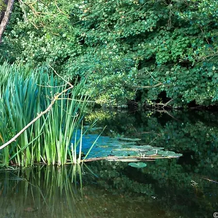 Casa vacanze The Mews -- Luxury At Bellingham Estate